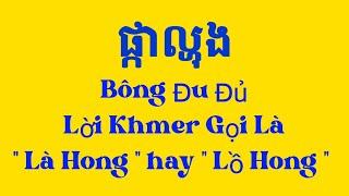 Bông Đu Đủ ( lời Khmer ) phát âm ra sao ?