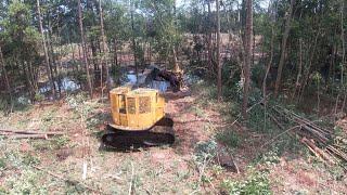 Heavy Equipment Shovel Logging