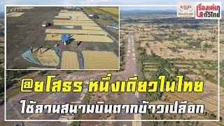 ยโสธร หนึ่งเดียวในโลก ใช้ลานสนามบินตากข้าวเปลือก : เรื่องเด่นทั่วไทย