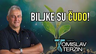 Tomislav Terzin - BILJKE SU ČUDO!