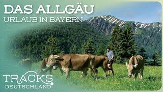 Urlaub im Allgäu - Natur pur! | Reisedoku | TRACKS Deutschland