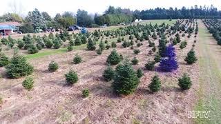 Northforker TV: Bird's Eye View from Dart's Tree Farm