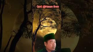 Q.S AN-NABA oleh @Hasan Bree