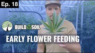 BuildASoil: 10x10 GROW TOUR // REVIEWING OUR FEEDING SCHEDULE (Season 4, Episode 18)