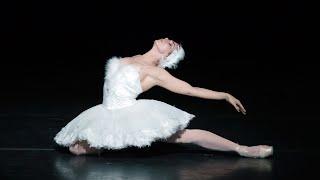 The Dying Swan – Natalia Osipova (The Royal Ballet)