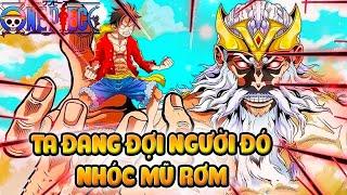 One Piece 1134 | Lời Cảnh Báo Dành Cho Băng Mũ Rơm, Dự Đoán