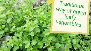 Green leafy vegetable recipe. Awais food point. Try traditional way of green leafy vegetable