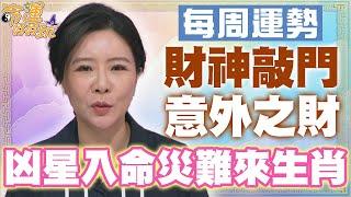 【每周運勢】財神敲門意外之財！凶星入命災難來生肖！｜1111~1117生肖運勢