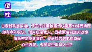 89  白泉村貧窮偏遠，傻子大柱因被怪蝎咬傷吞蜘蛛而清醒，却有意外收获。他用所学救人，從被欺凌到逆天改命，讓荒村變成聚寶盆。美丽村婦對他的轉         變心生波瀾，傻子能否翻轉人生？