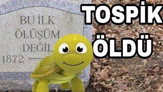 TOSPİK ÖLDÜ