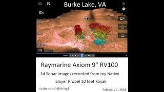 Burke Lake fish 3D sonar images by Raymarine Axiom 9" RV100 3d transducer