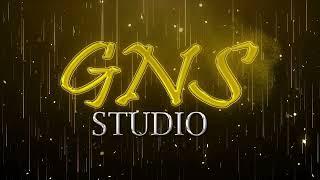 GNS Studio Hindi Intro Video