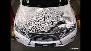 аэрография на авто фото, airbrush on cars photo,