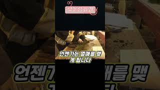 부메랑효과