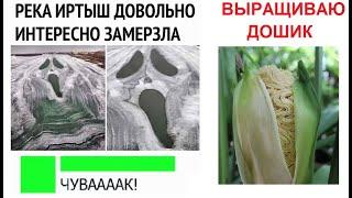Большая подборка МЕМОВ от Макса Максимова
