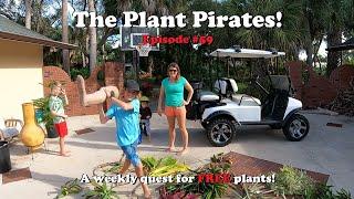 Finding FREE Plants! | The Plant Pirates Episode #59