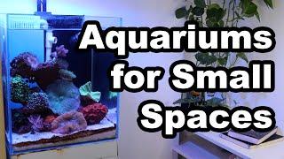 Aquariums for Limited Space | Four Tips