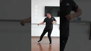 传统太极拳，原滋原味！ #太极拳 #陈氏太极拳 #陈氏太极拳小架