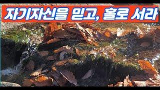 자기자신을 믿고 홀로서라 feat 랄프 왈도 에머슨,현대 지성 etc