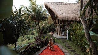 A Solo Weekend In A Bamboo Treehouse