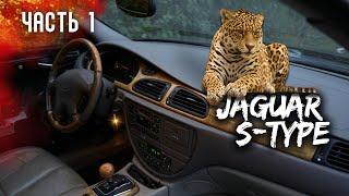 Мы купили JAGUAR. На сколько он ДИКИЙ