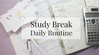 Study Break Daily Routine | Everything Janis