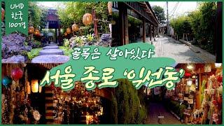 [UHD 한국 100경] 골목은 살아있다. 서울 종로 '익선동'