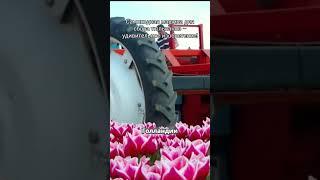 #топ #обзор #спецтехника
