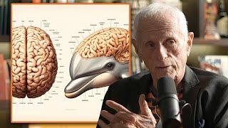 The Dolphin Expert: Dolphins are More Intelligent Than Humans! | Ric O'Barry