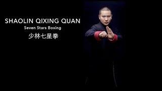 Shaolin Qixing Quan