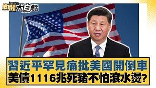 習近平罕見痛批美國開倒車 美債1116兆死豬不怕滾水燙？【新聞大白話】20241116-12｜帥化民 吳崇涵 嚴震生