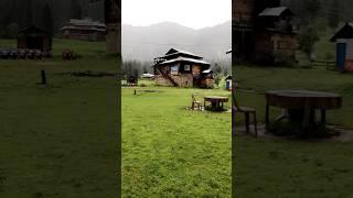 Kashmir Arang kel || #arangkel #kashmir #beautiful #views #shorts #shortsfeed #viral #youtubeshorts