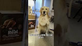 반려견 사료 추천 #shorts #삶의질상승템 #반려견 #반려견사료 #하림 #반려견알러지사료 #가수분해사료 #오븐베이크사료