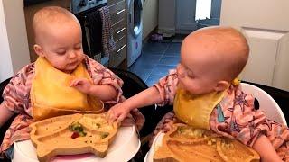 Funniest Battles of Twin Babies! Funny Babies Compilation