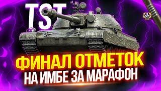 TST - ЧЕШСКАЯ ИМБА ЗА МАРАФОН!  ФИНАЛ ОТМЕТОК НА ТАНКЕ ИЗ СБОРОЧНОГО ЦЕХА — ПОСЛЕДНИЕ 5%!