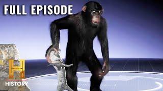 MonsterQuest: KILLER CHIMPS IN AMERICA (S3, E22) | Full Episode