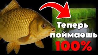 СЕКРЕТЫ ЛОВЛИ КАРАСЯ НА СПИННИНГ! Улов гарантирован! МОРСЫШИНГ 2025