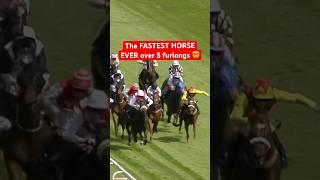 THE FASTEST HORSE EVER OVER FIVE FURLONGS  #horse #epsomdowns #horserace #horseracing