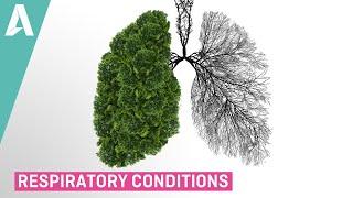 Respiratory Conditions - Preview