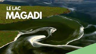 Le Lac Magadi - Un film de Yann-Arthus-Bertrand