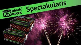 Blackboxx - Spectakularis No. 3