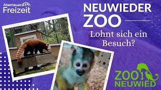 Entdecke den Neuwieder Zoo: Tierabenteuer für die ganze Familie im größten Zoo in Rheinland-Pfalz!