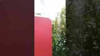 Вынеси мой мяч!