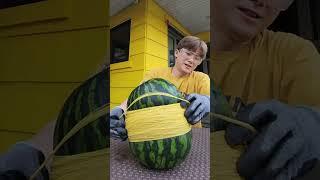 수박 자르지않고 터트려서 먹는 방법