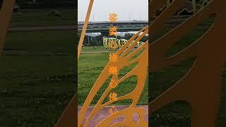 2025年4月8日