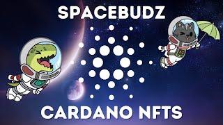 Cardano Spacebudz NFT Creator Alessandro Konrad - Dapps, NFTs, Berry Stakepool