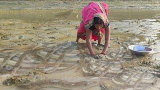 amazing hand catching fish malgi cooking&eating in gaanv | malgi machli pakdane ka tarika,malgi fish