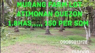 MURANG FARM LOT SA ATIMONAN QUEZON,