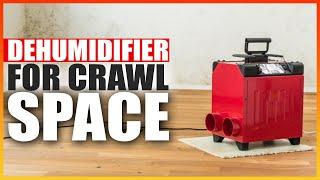 The Best Dehumidifier for Crawl Spaces in 2023  - The Right Dehumidifier for Your Crawl Space