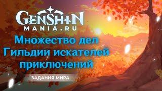 Genshin Impact прохождение | Задание мира | Множество дел Гильдии искателей приключений